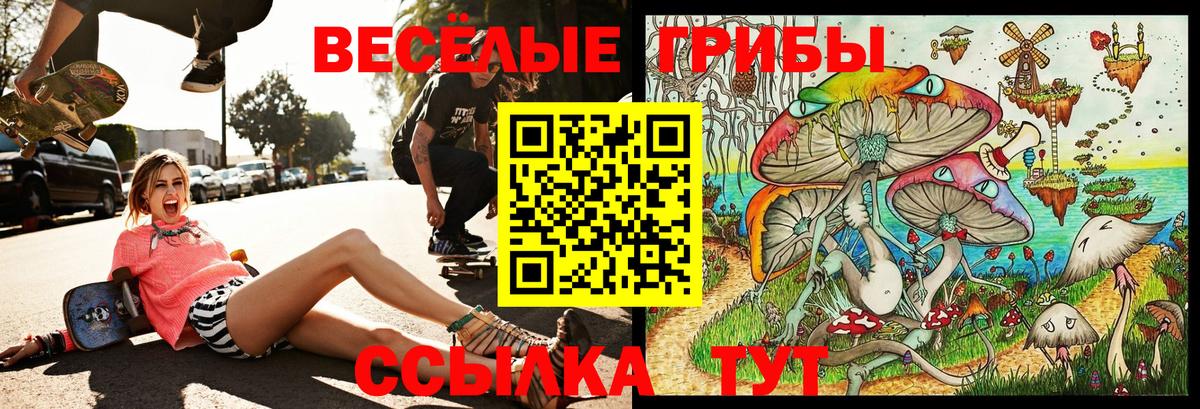 Псков  Галлюциногенные грибы Psilocybe  Вход с VPN 